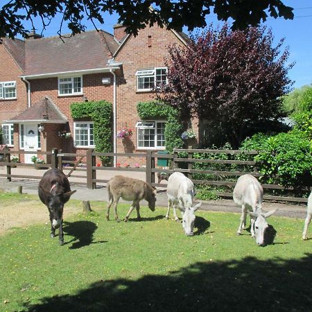 Hops Annex Villa Brockenhurst Luaran gambar