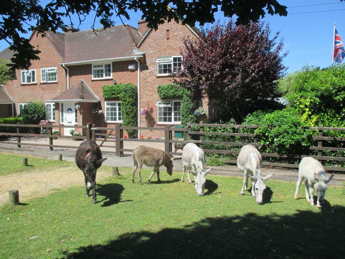 Hops Annex Villa Brockenhurst Luaran gambar