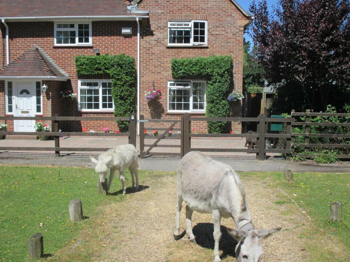 Hops Annex Villa Brockenhurst Luaran gambar